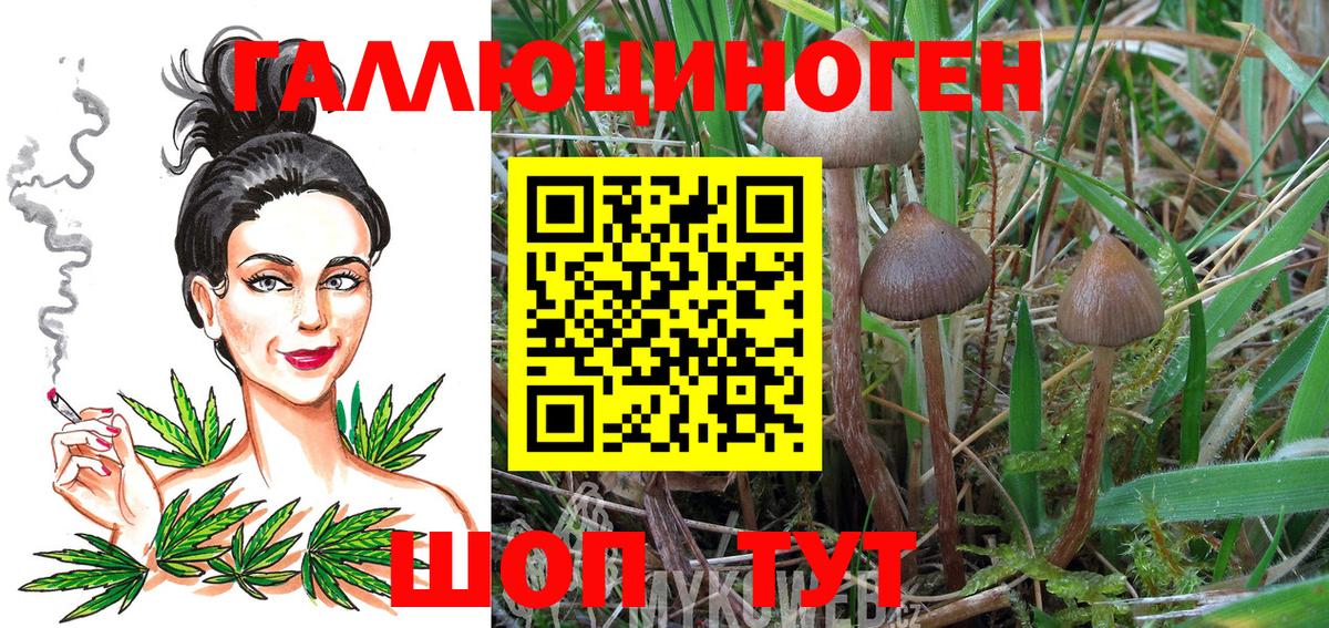 Великий Новгород  Псилоцибиновые грибы GOLDEN TEACHER  Вход с VPN 
